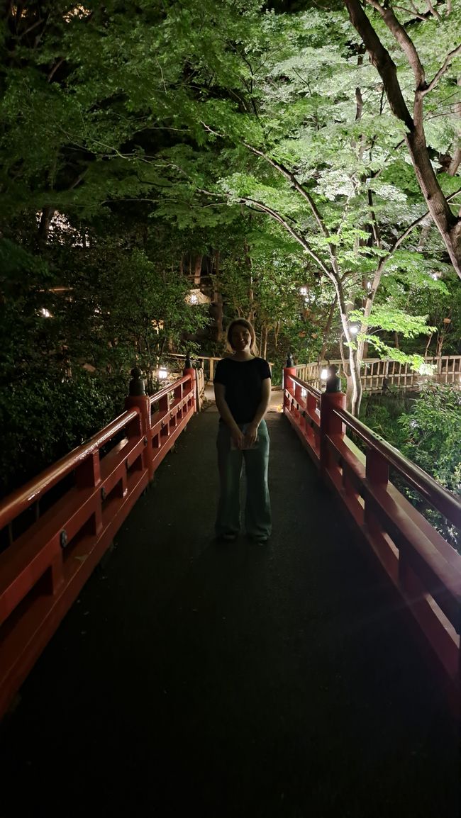 Beautiful Tokyo