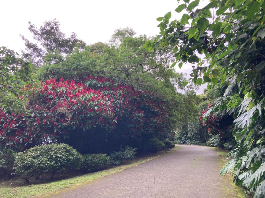 Bei der Bremer Architektin