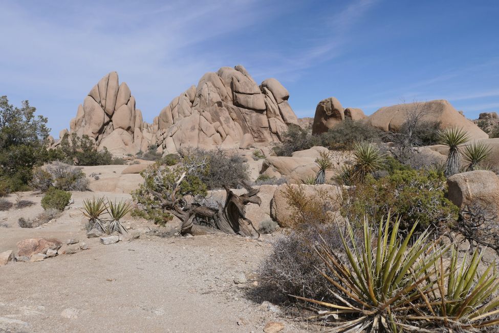 USA - Las Vegas and more ...   road trip 2025