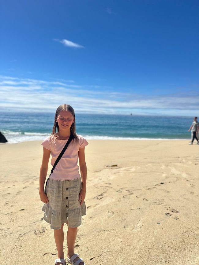 Santa Cruz-Monterey-Big Sur-Carmel by the Sea