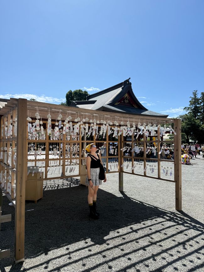 Ausflüge rund um Yokohama: Kamakura, Tokyo und Enoshima