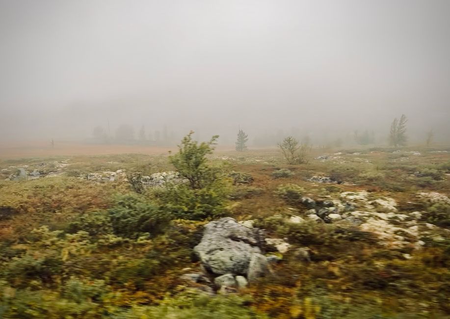 Reisetag - Regen, Nebel, Altbekanntes