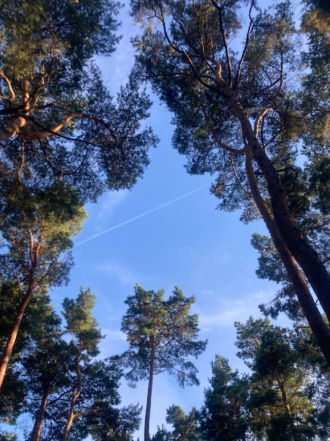 Friede, Freude, Eierkuchen … Karlshagen Usedom