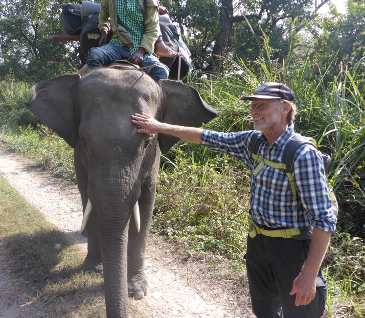 2024-11-18 Chitwan National Park