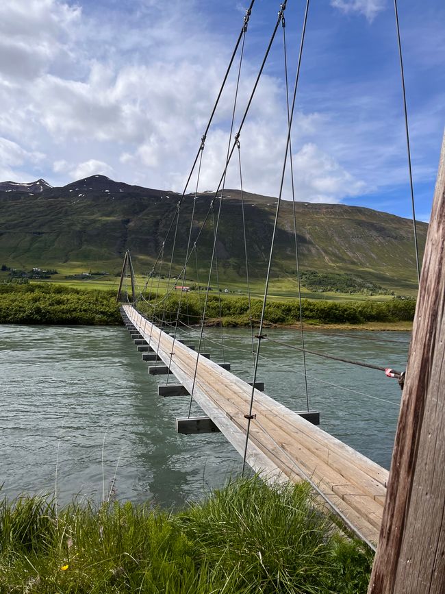 Dalvik
