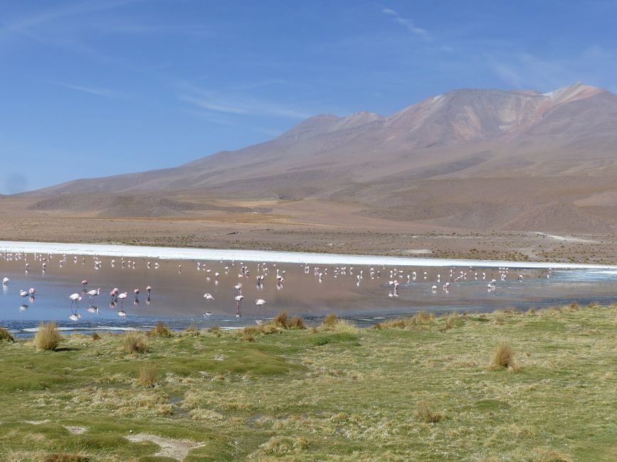 Chile, San Pedro de Atacama