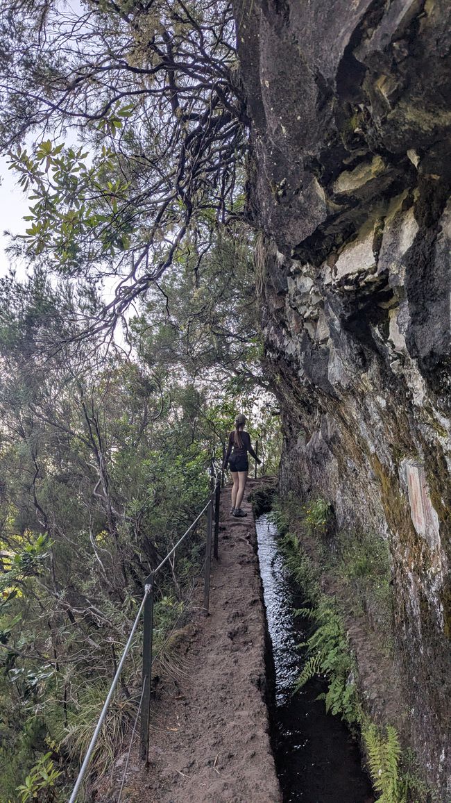 Tag 14: Levada do Caldeirão Verde & Nordküste