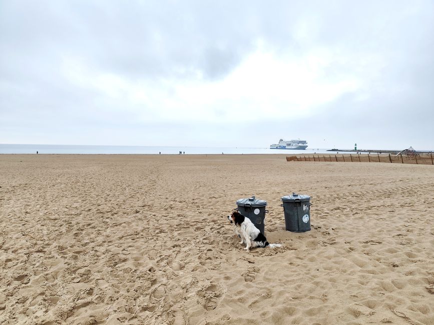 Warnemünde bei Rostock - Kurztrip nach einem Kundentermin 