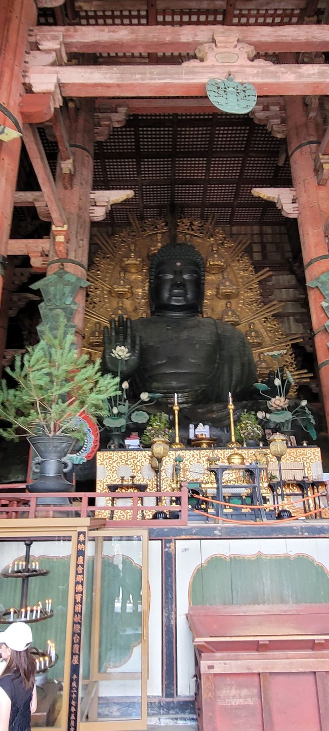 Tag 7. Shimoichi und Nara