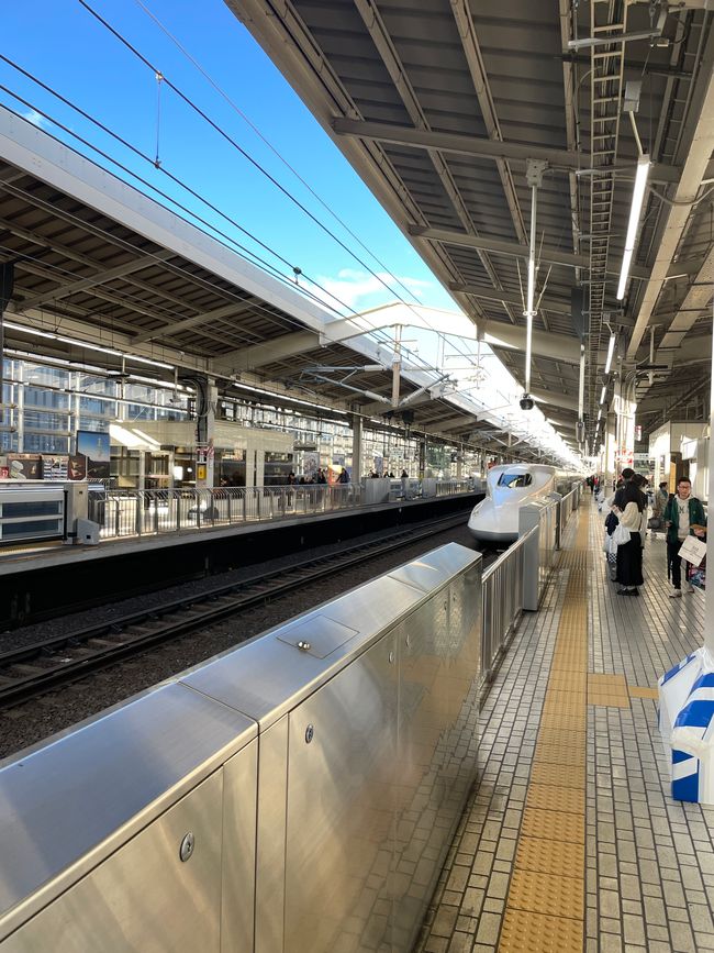 Der Zug sieht aus wie eine gemeine Schlange