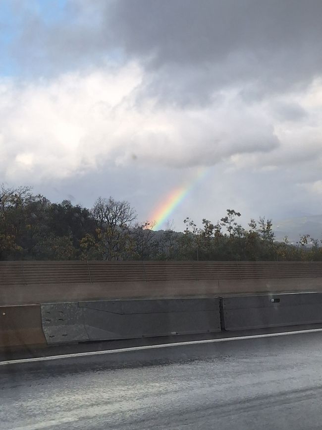 Regenbogen 🌈