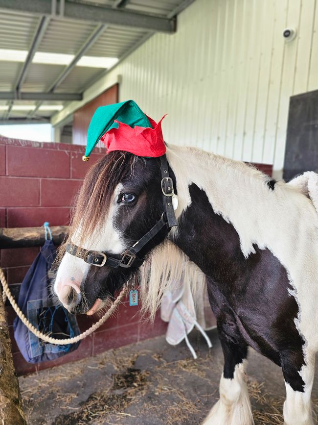 Dezember Recap