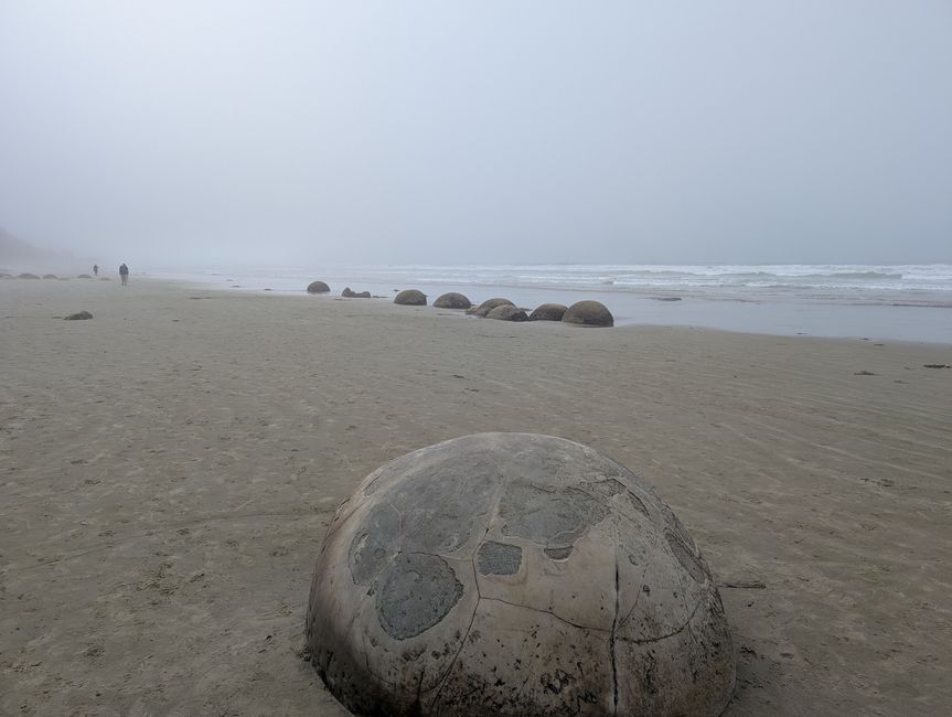 Travel day little River - Dunedin