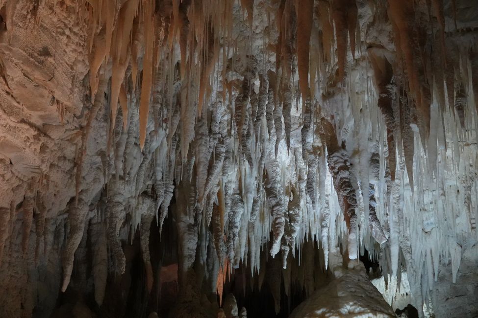 Grotte di Waitomo ....