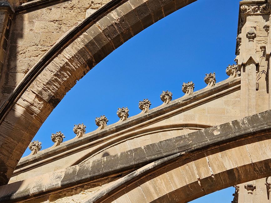 Terrazza panoramica della cattedrale