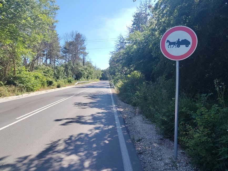 Gut, ich darf weiter fahren