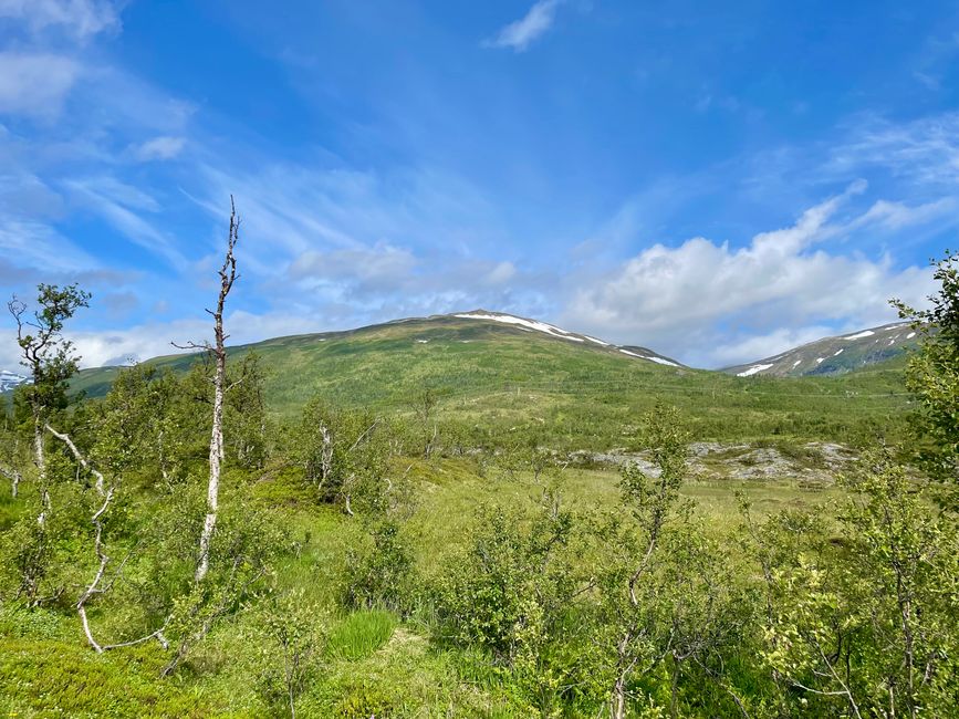 Da geht’s hoch (Rødtinden)