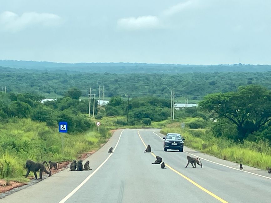 Nationalpark Murchison Falls