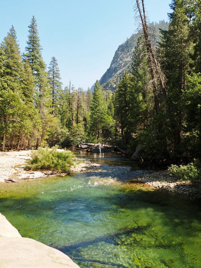 Day 6 - 5.9.2024
Sequoia NP & Kings Canyon