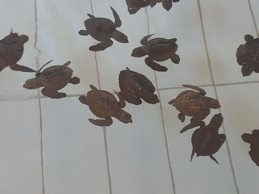 Etiqueta 19: Relajación en la playa