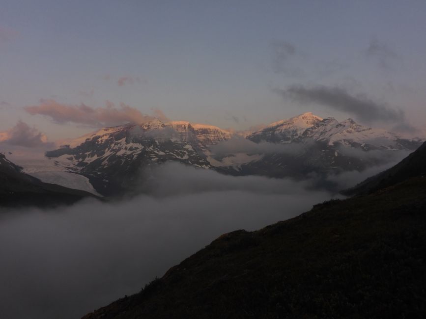 SU sur le sentier vers Wilcox Pass