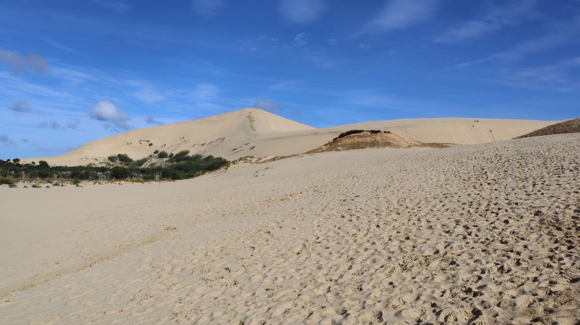 Te Paki Giant Sand Dunes