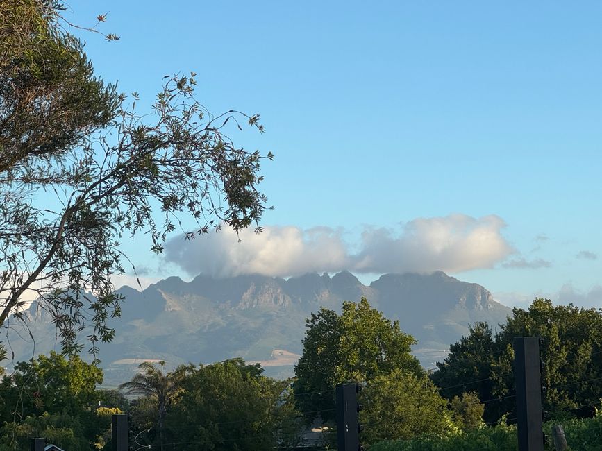 Weihnachtstage in Stellenbosch