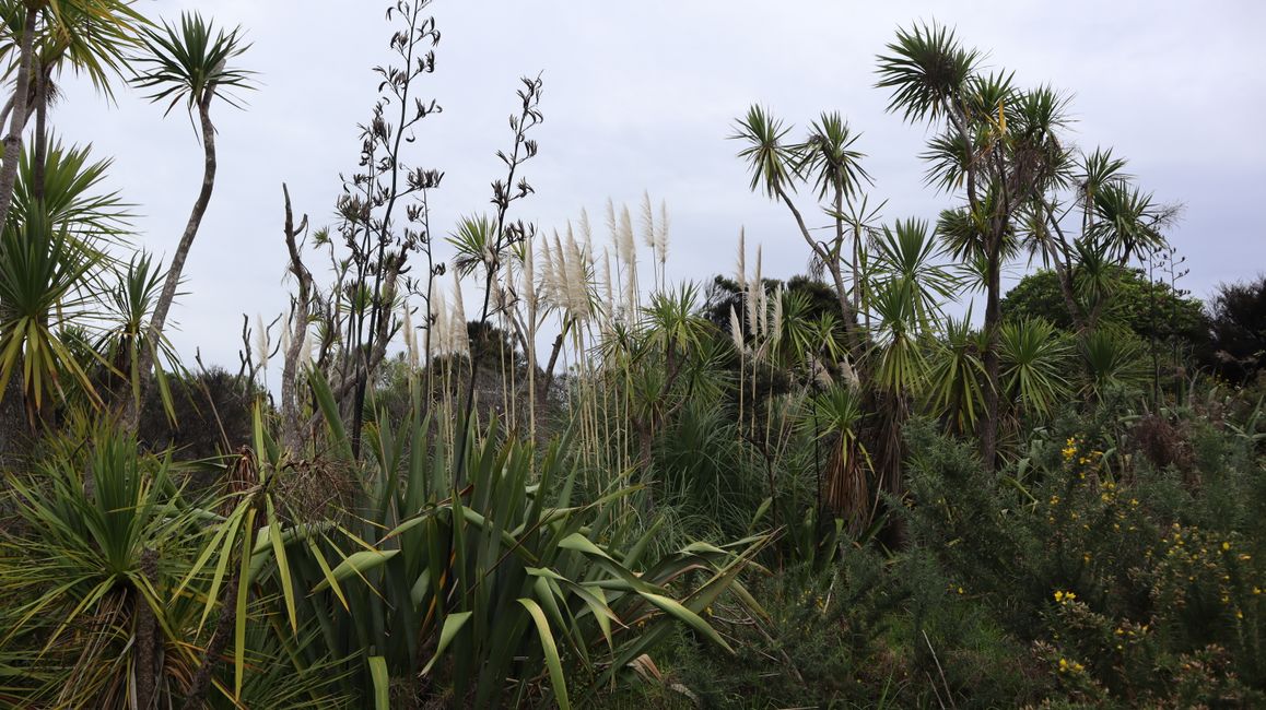 Woche 4 - Jetzt kann es richtig los gehen!