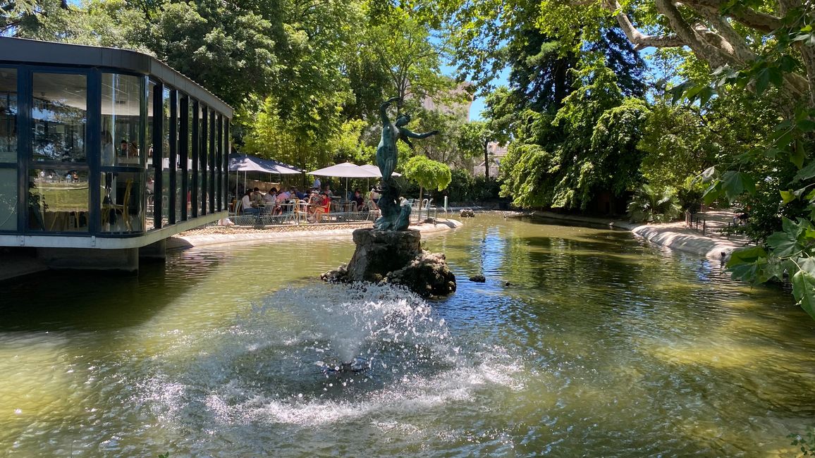 Jardin de Dome