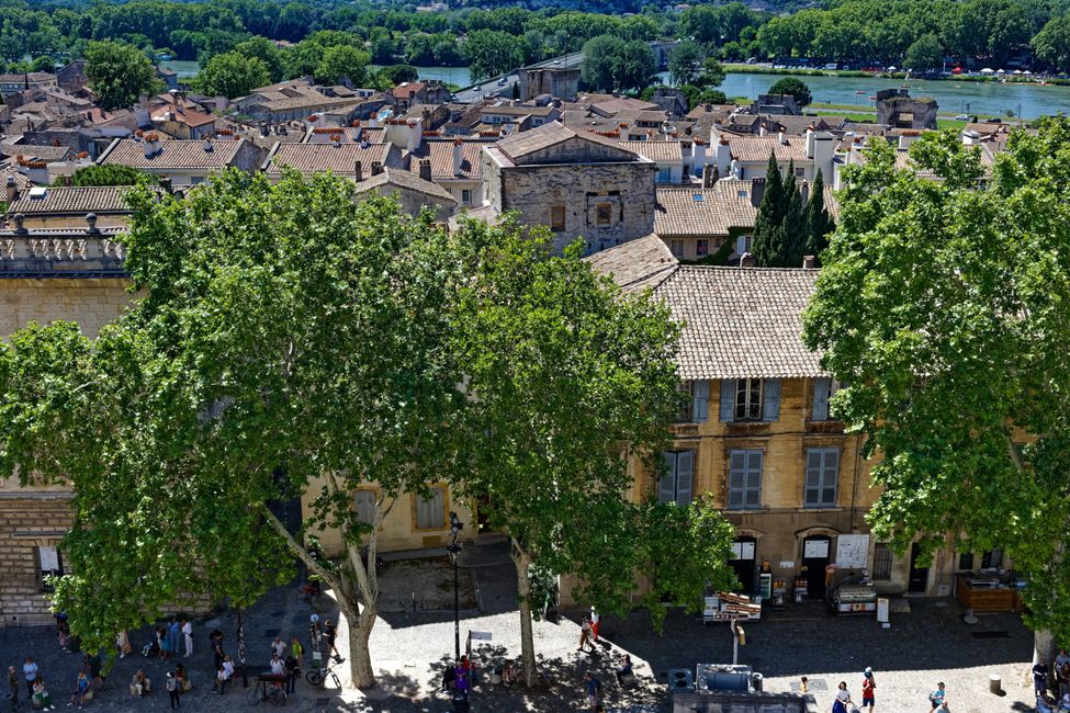Once in a lifetime to Avignon