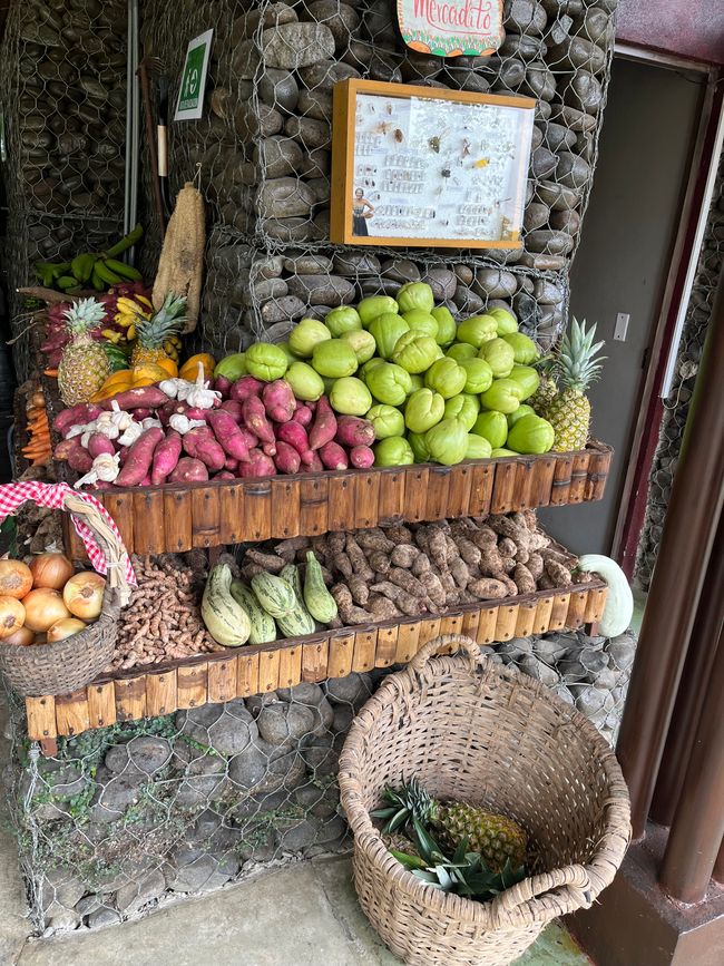 All'uscita dell'Arenal e nel giardino delle erbe