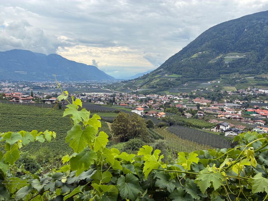 Vinschgau
