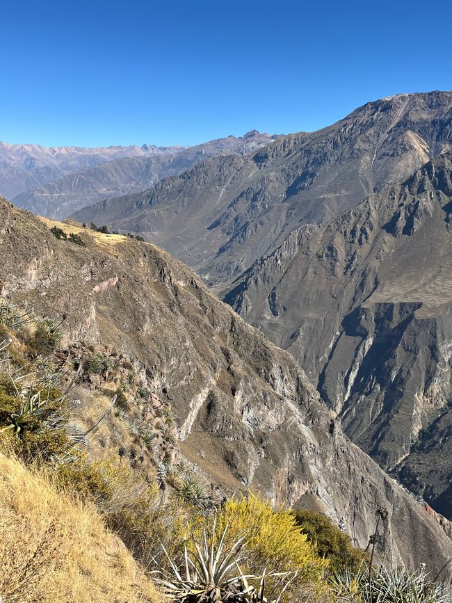 Canyon de Colca