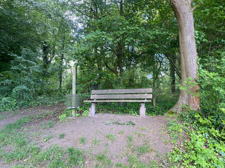 und viel Platz auf der Aussichtsbank am Waldesrand