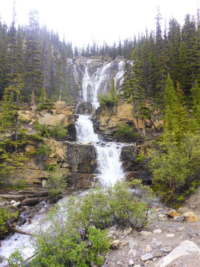 Tangle Creek