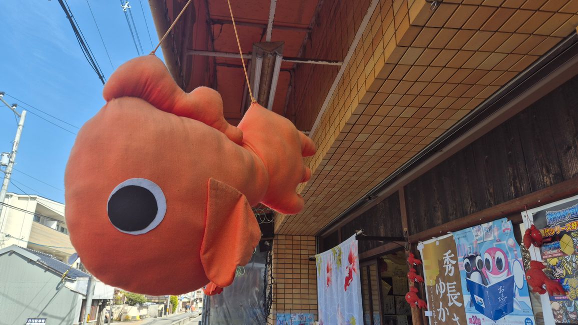 Heute in der Goldfischstadt Yamatokoriyama.
