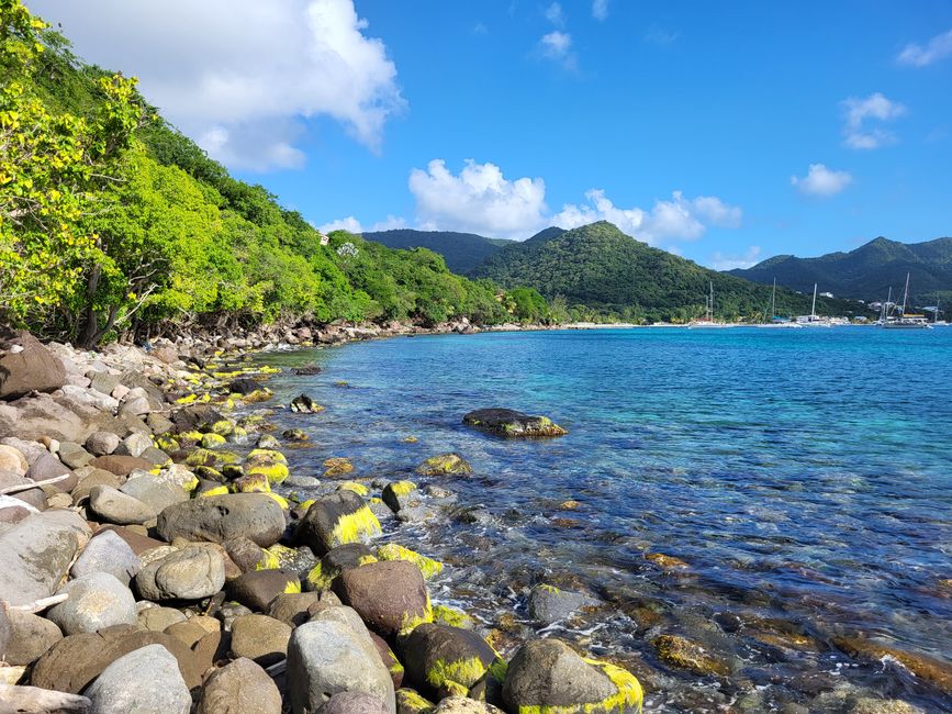 Christmas in the Caribbean - Martinique (Cruise with the Royal Clipper)