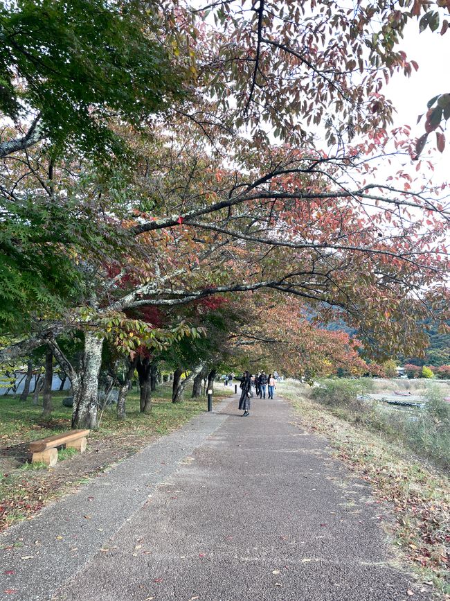 7. Kapitel: Noch ein Tag am Fuji-san, jede Sekunde ist anders