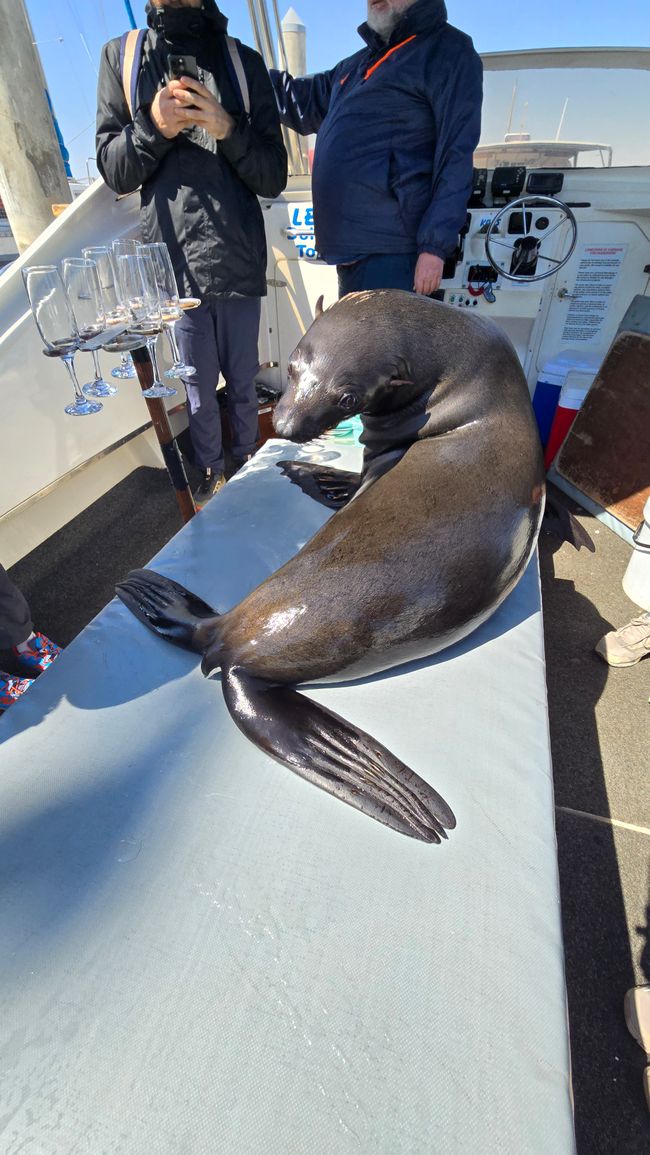 Besuch on Board