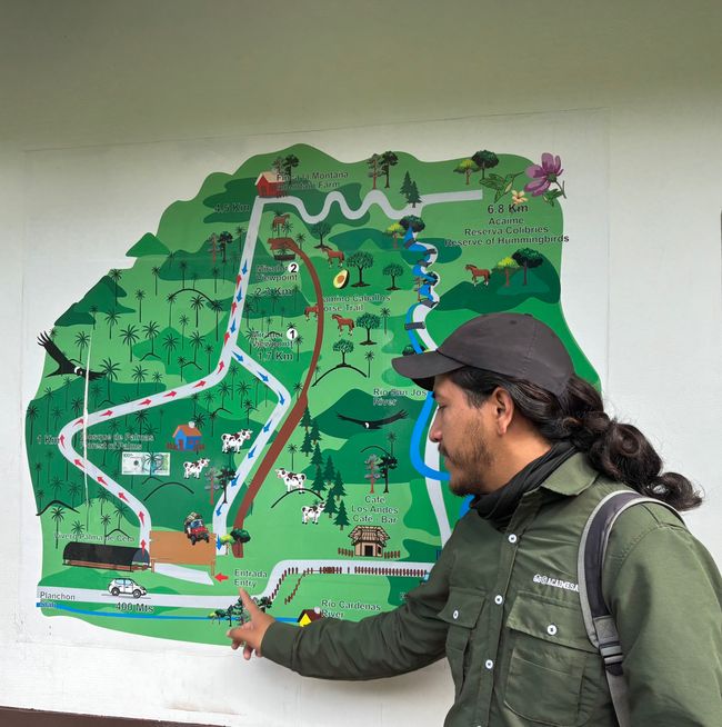 Cocora Valley