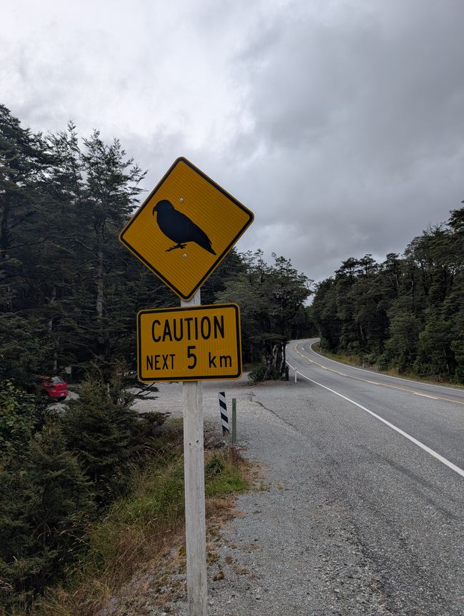 Timetravelling in Arthur's Pass