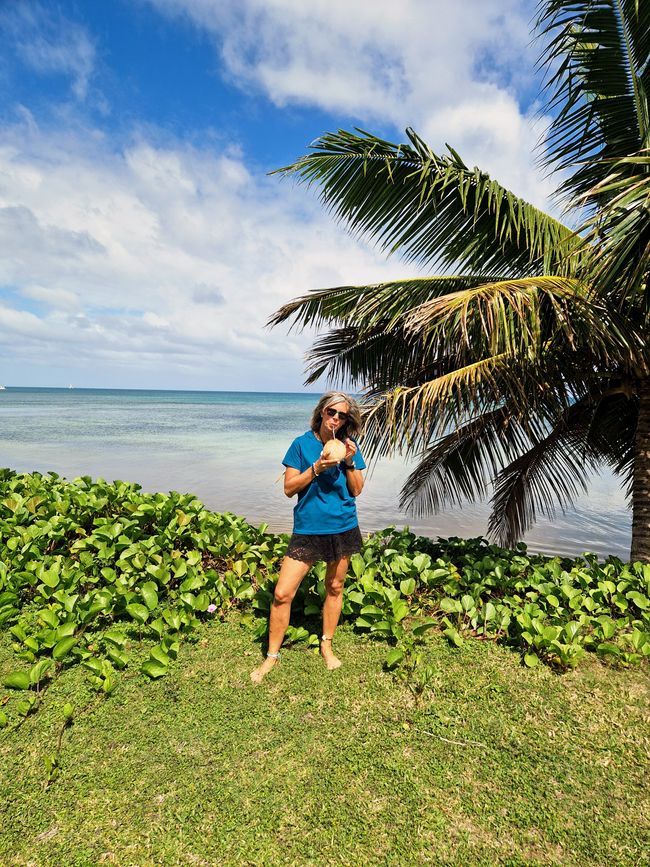 Il viaggio dal Regno di Tonga all'Australia