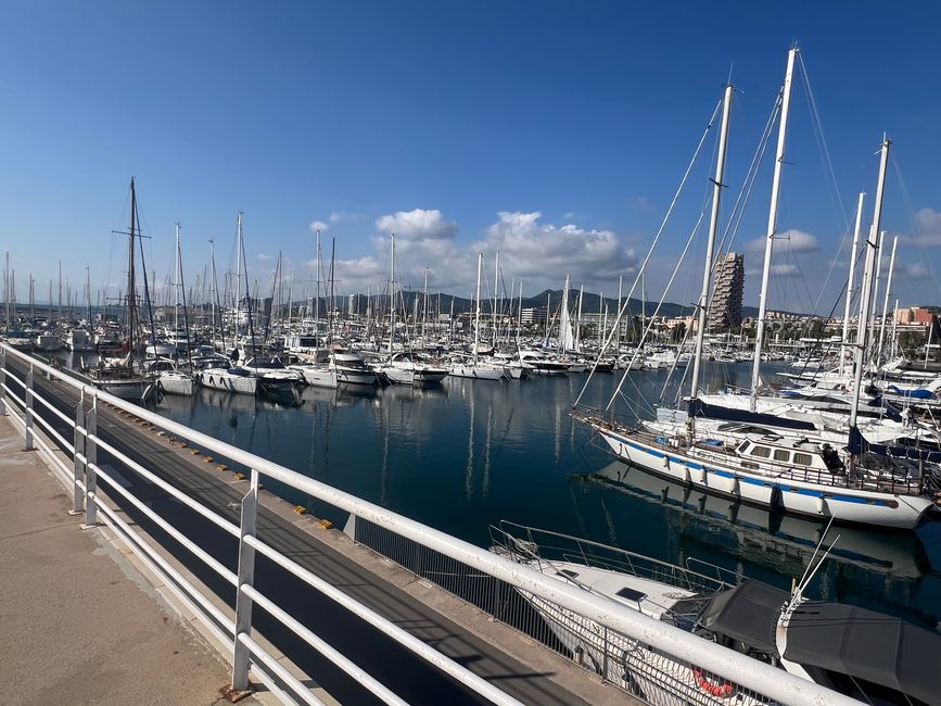 Harbor
