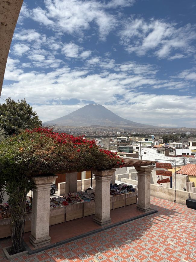 Arequipa 🦙