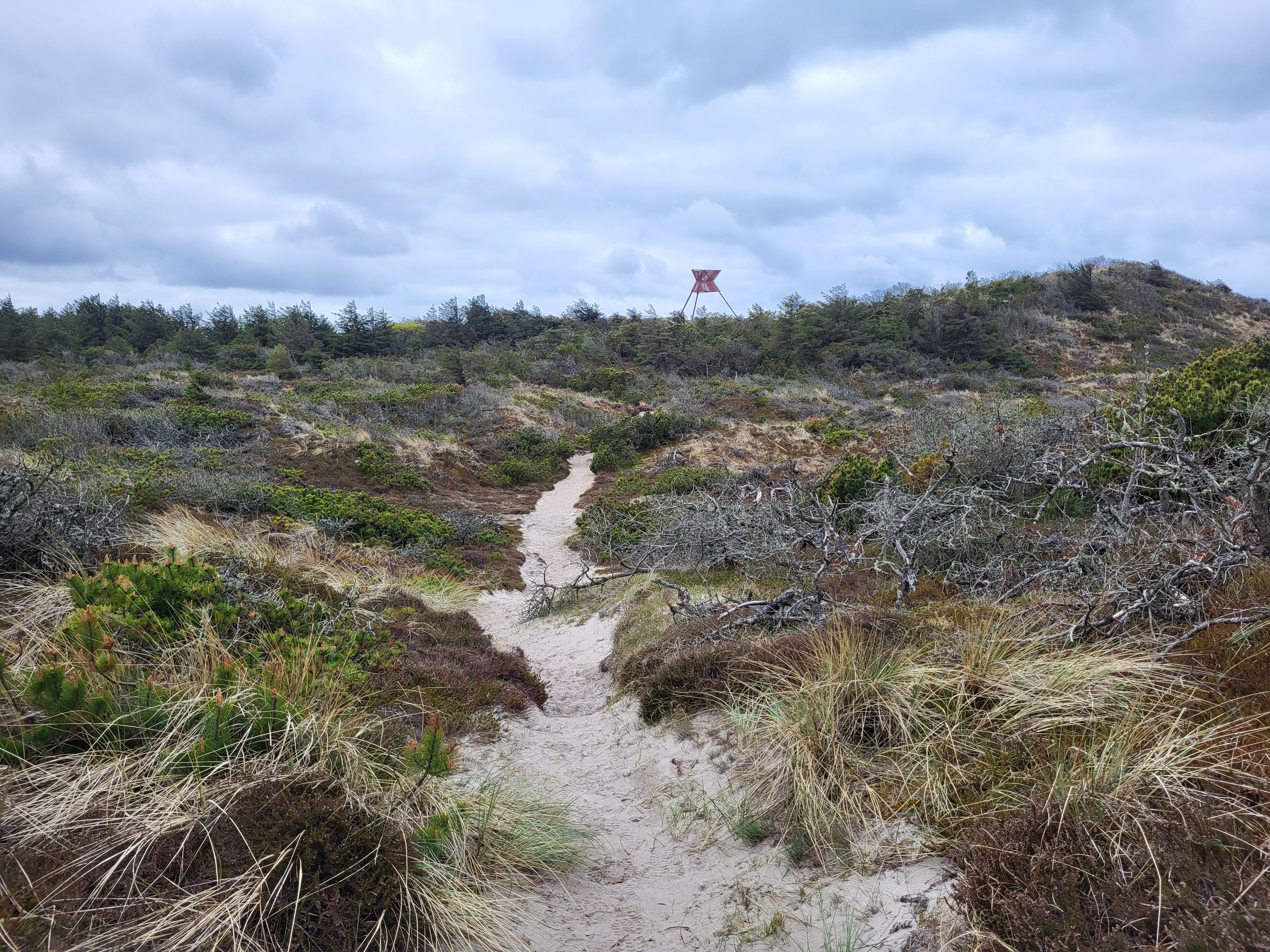 Thy National Park