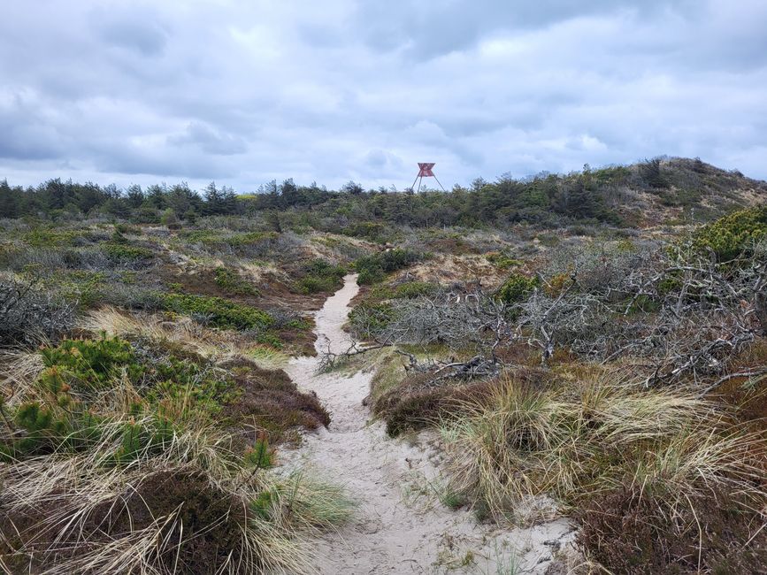 Thy National Park