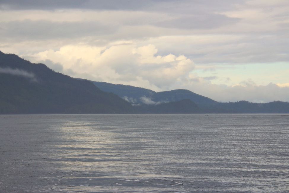 Tour de Observación de Ballenas de Seasmoke