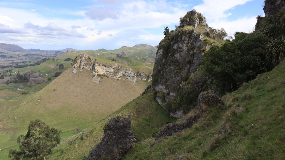 Te Mata Trust Park