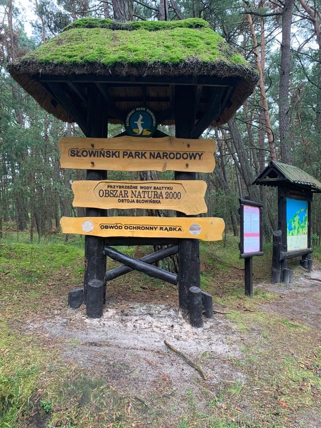 Die Lontzkedüne (Wydma Łącka) 