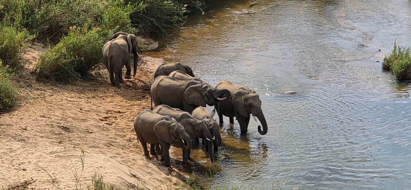 Ilse und ihre Familie waren in Südafrika mit dem Mietwagen unterwegs